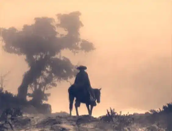 Charro en caballo junto a un árbol