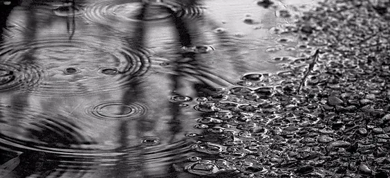 Back 1 Charco de lluvia
