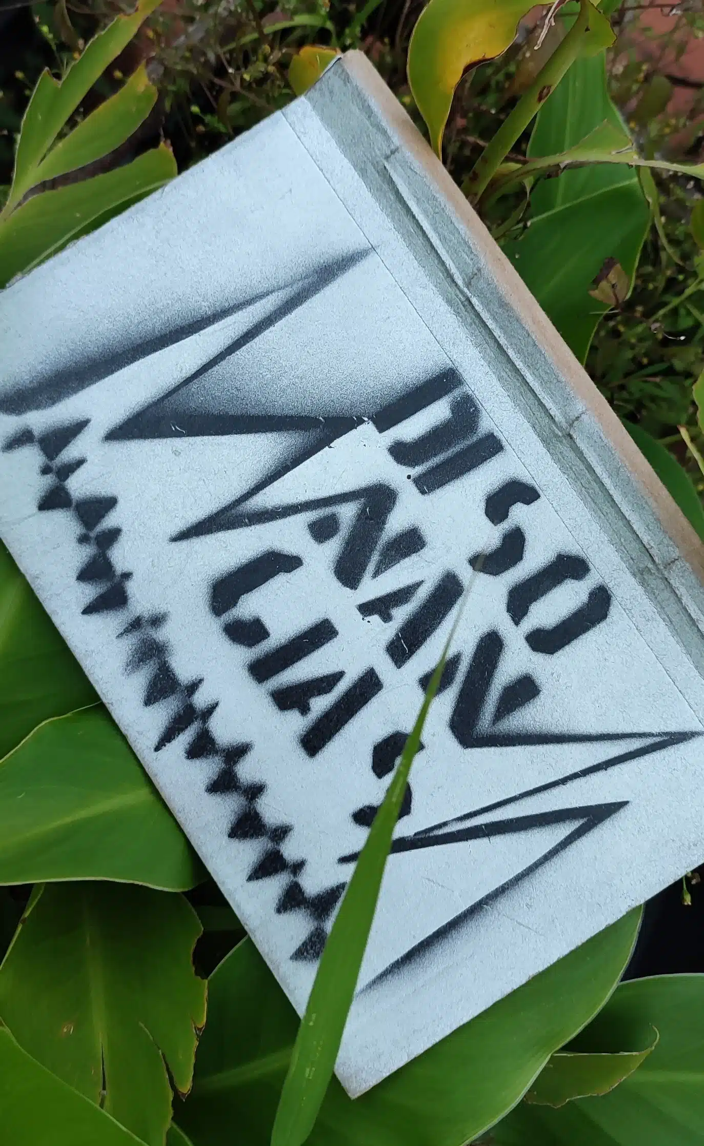 Libro Disonancas de Manyus Hrer