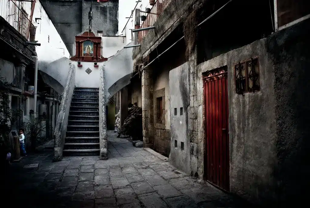 Inicio 1 Logo de La Rueda Cartonera