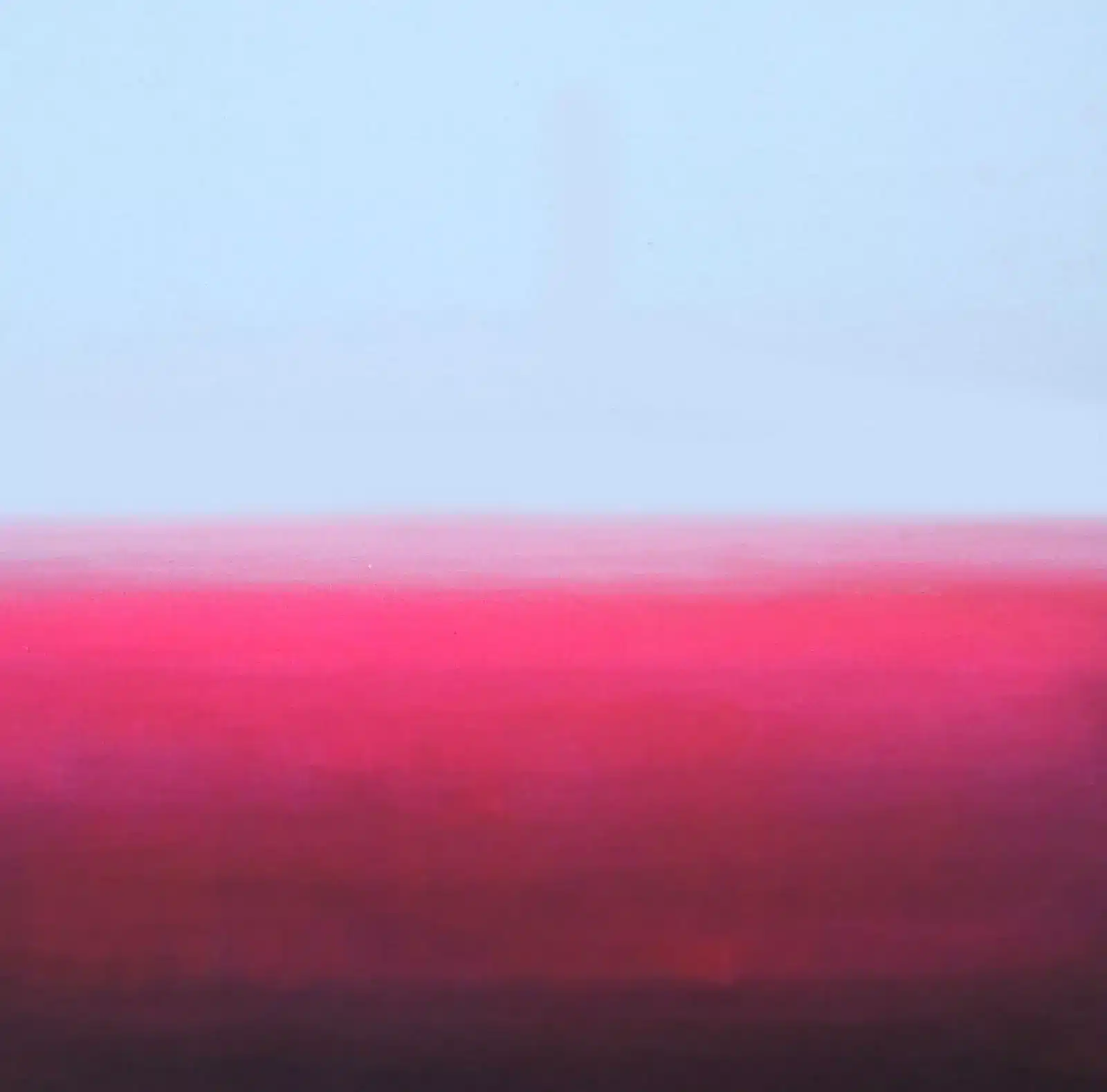 Paisajes )Internos 2 - Violeta Leonor Esparza